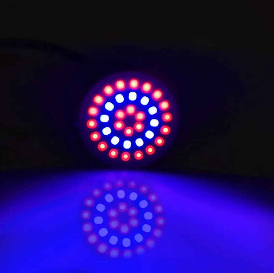 Ampoule G10 Led Encastrable Fluorescent (36,54,72 leds)