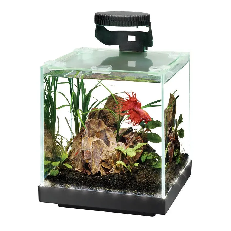 Aqueon Edgelit Cube Glass Aquarium Vibrant LED Remote Control