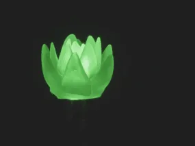 dLUX-dLITE Green Succulent Shape LEDs 5 Pack by Unexpected Labs