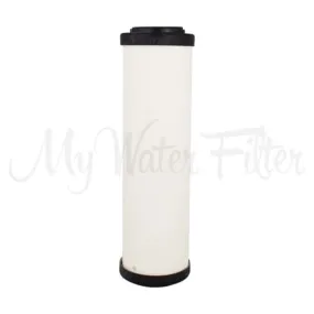 Doulton 0.5 Micron Sterasyl Ceramic Water Filter Replacement Cartridge 10" x 2.5"