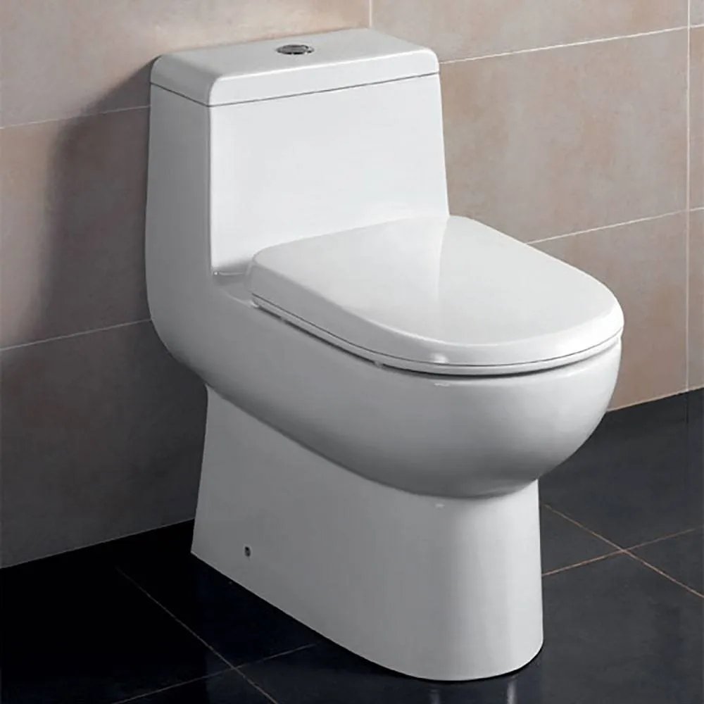 Eago TB351 Dual Flush One Piece High Efficiency Low Flush Ceramic Toilet
