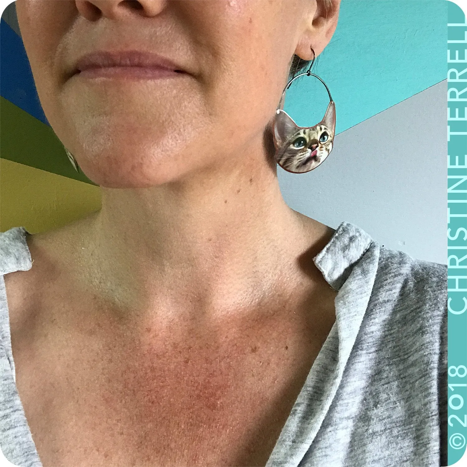 Happy Tabby Cats Upcycled Tin Earrings