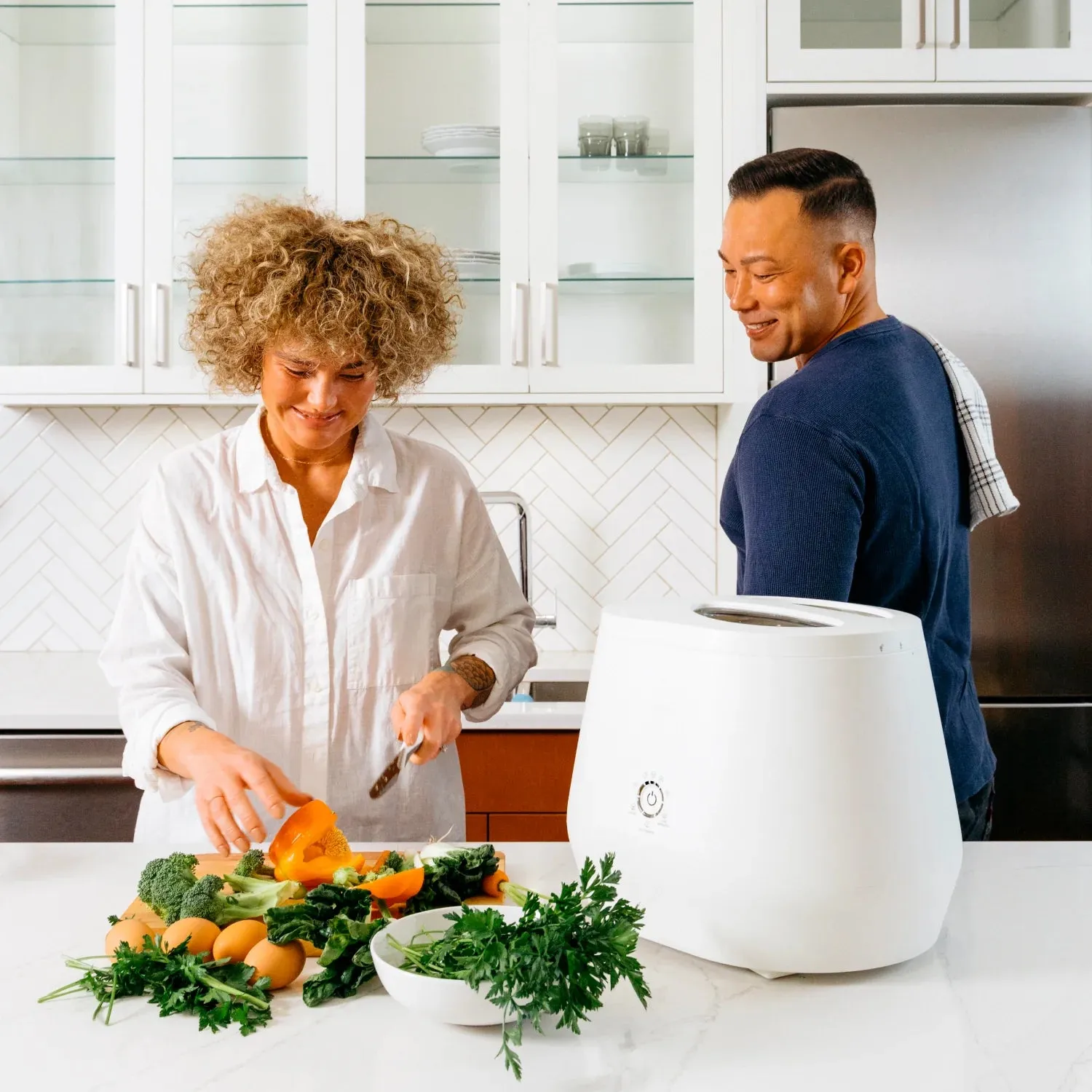 Lomi 2 - Kitchen Countertop Food Recycler