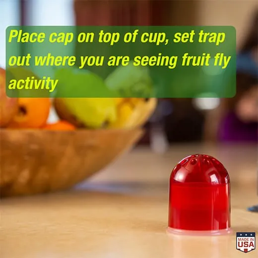 Rescue! Fruit Fly Trap, 2 pk