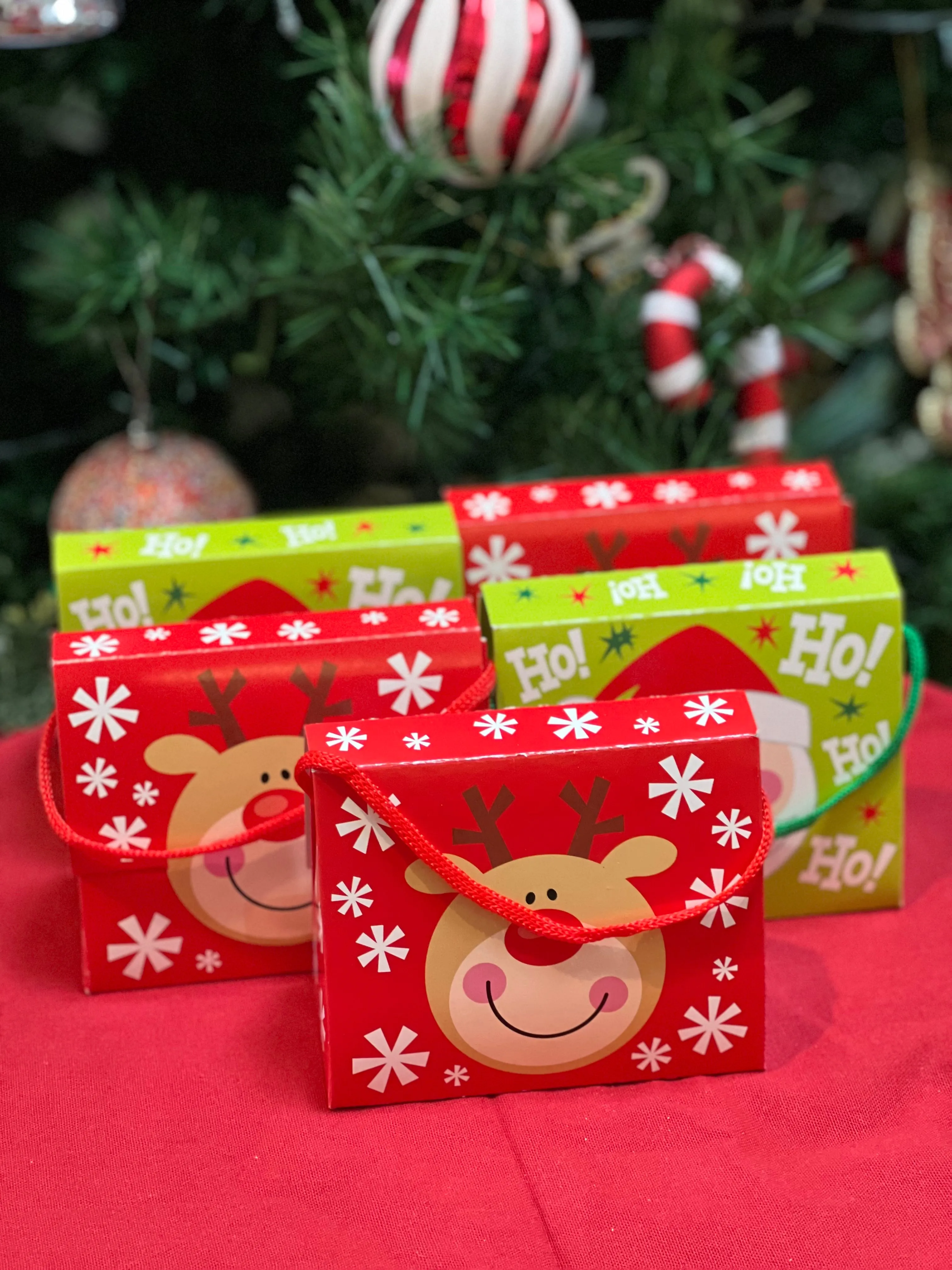 Santa & Rudolph Treat Boxes