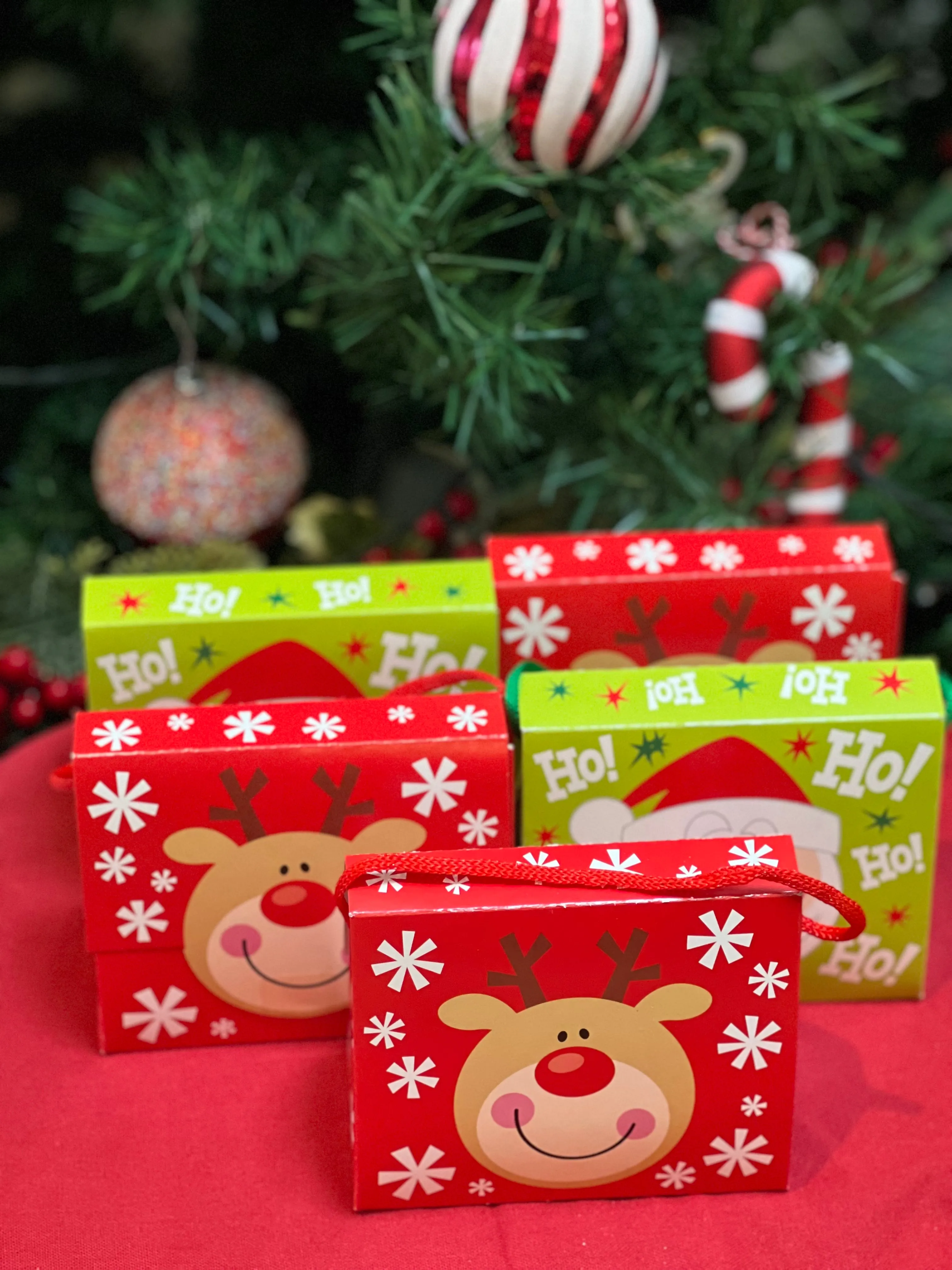 Santa & Rudolph Treat Boxes