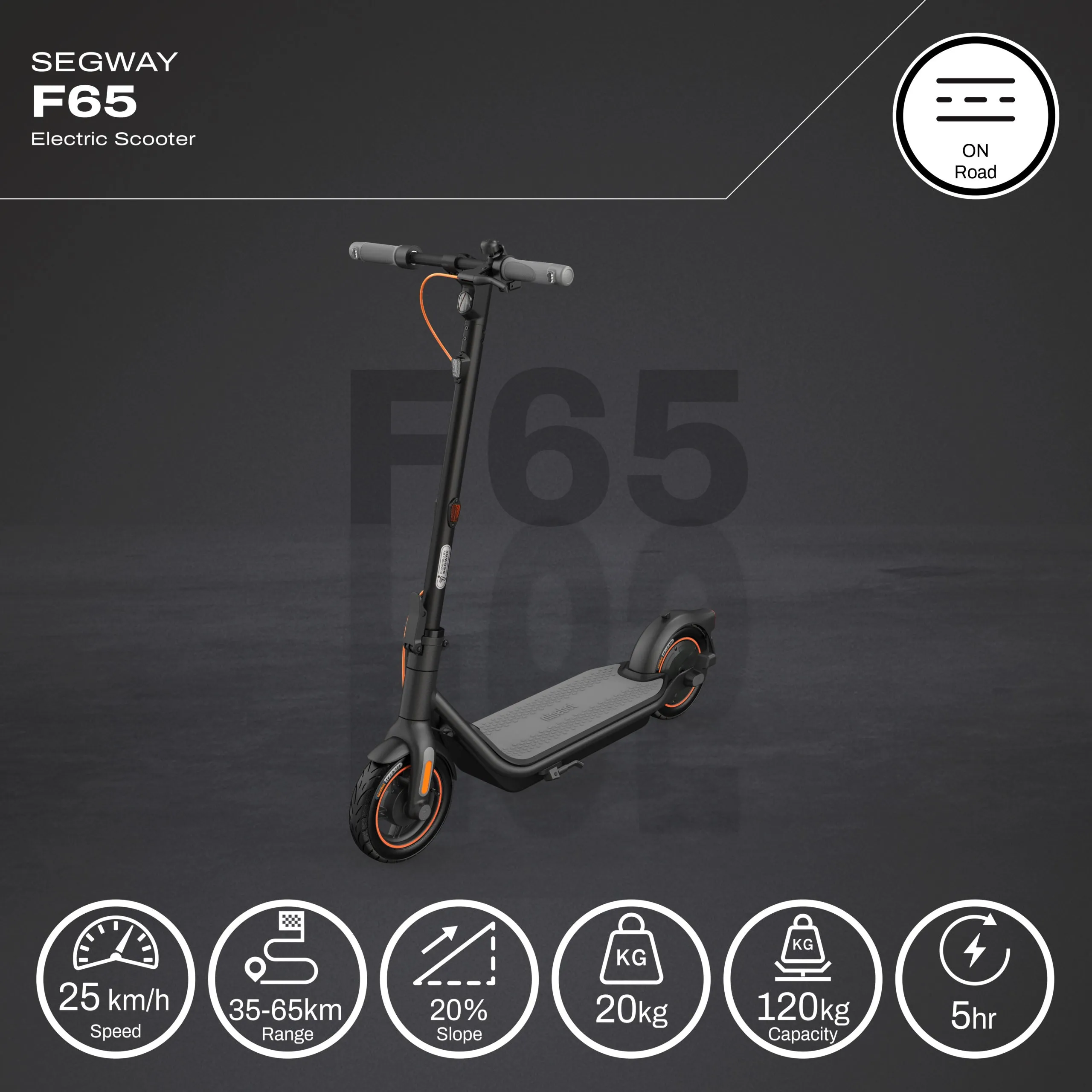 Segway Ninebot F65 Electric Scooter