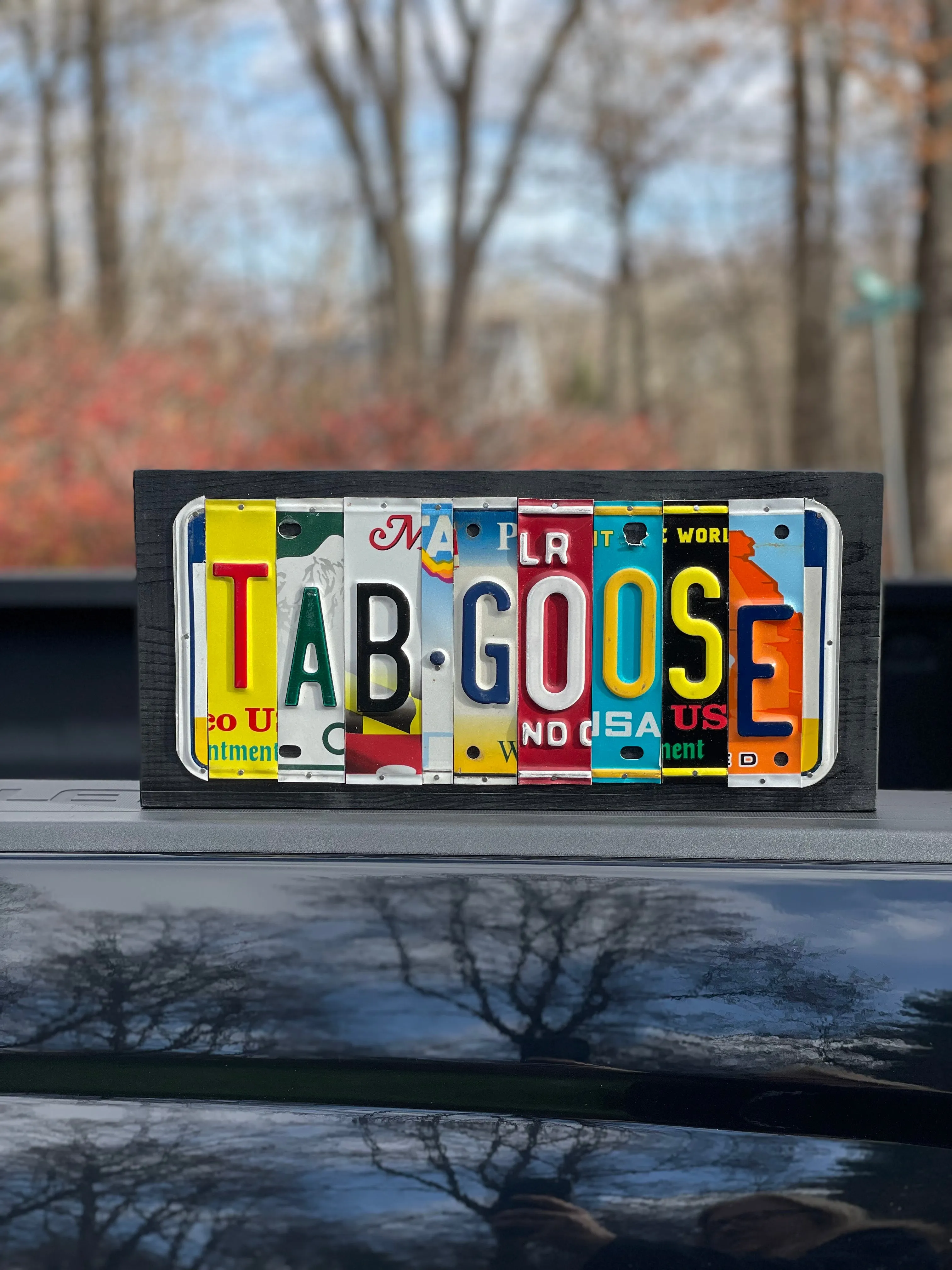 Signs made from License Plates