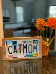 Signs made from License Plates