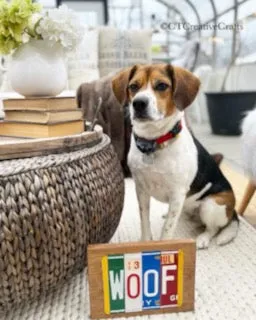 Signs made from License Plates