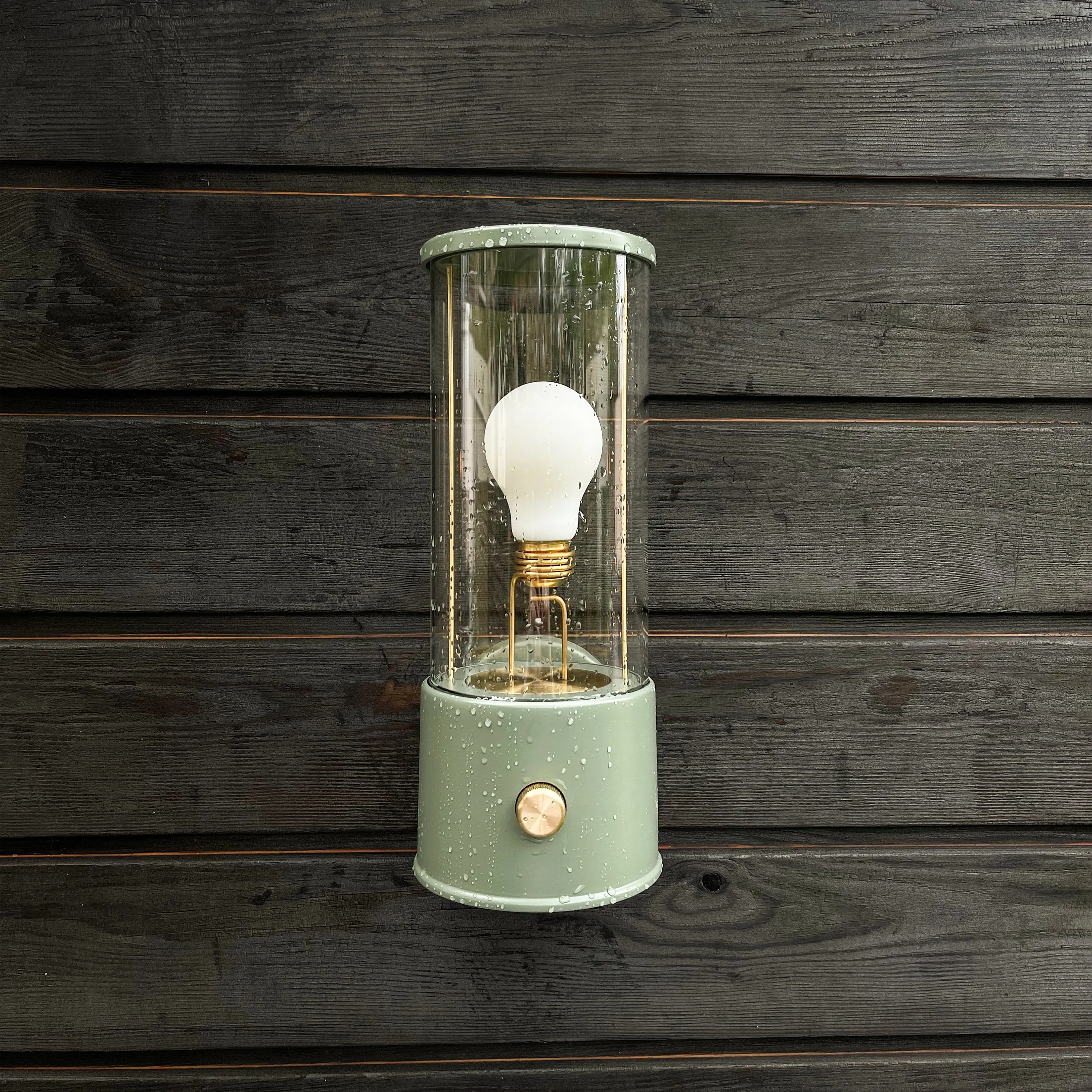 The Muse Outdoor Wall Sconce