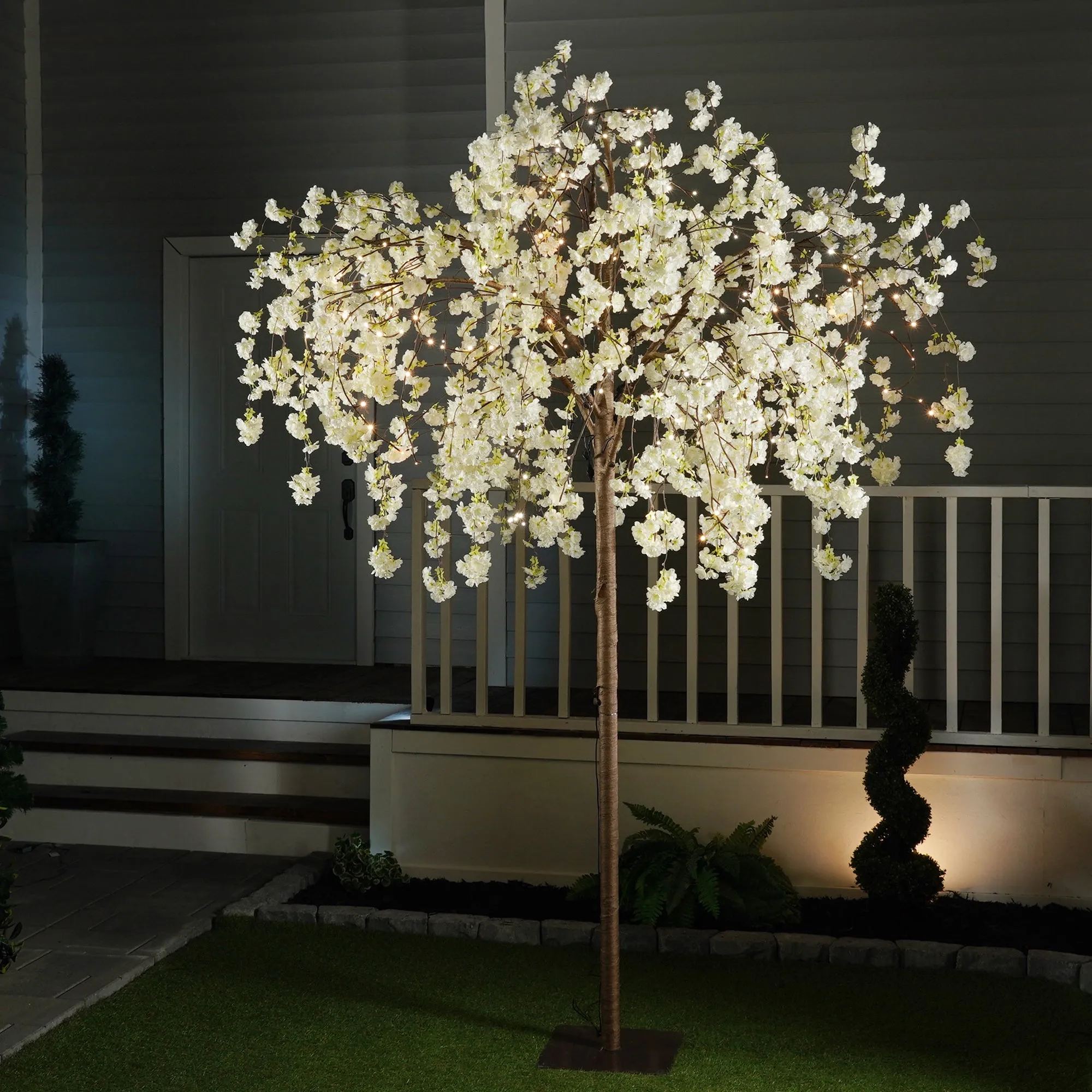 White Cherry Blossom Tree With Warm White LEDs